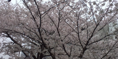 130325_124518