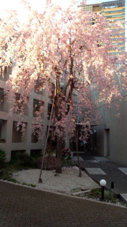 140406_172314