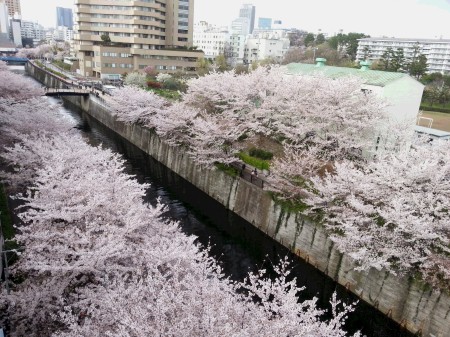 20150403_162220