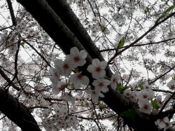 20150403_164030