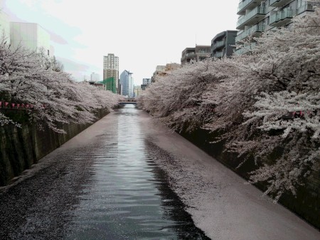 20150403_164815